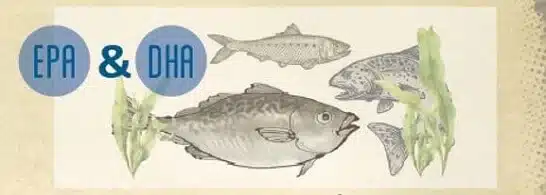 EPA ir DHA rūgšties išgavimo , naudos žmogui šaltiniai- žuvys