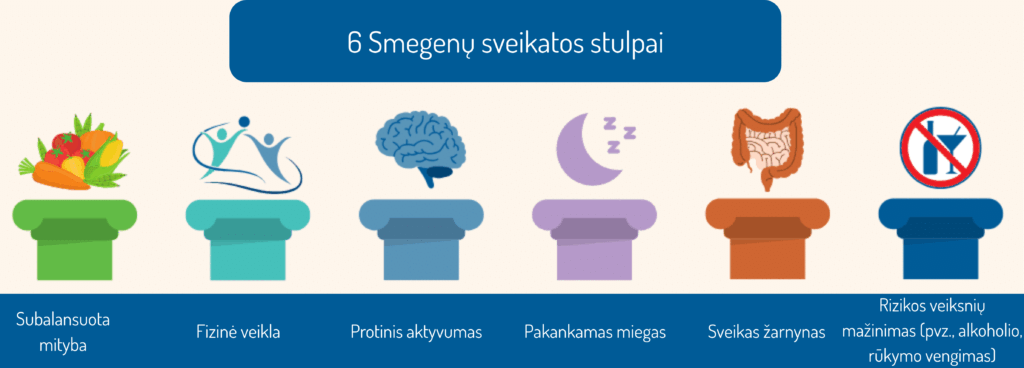6 smegenų sveikatos stulpai, naudingi veiksniai siekiant tinkamas ir sveikos smegenų veiklos