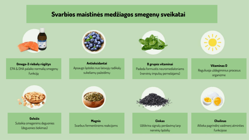 Svarbios maistinės medžiagos smegenų veiklai, sveikatai. Omega-3 viena iš jų.